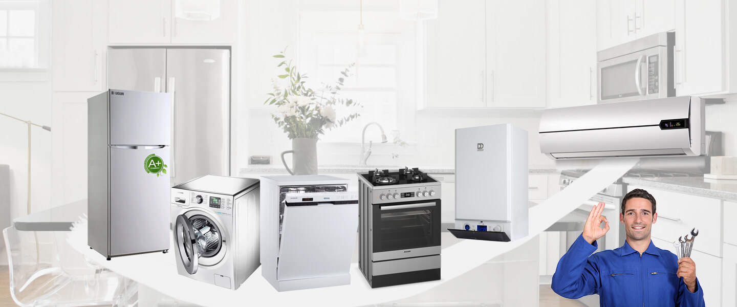 Koçarlı Windsor Servisi